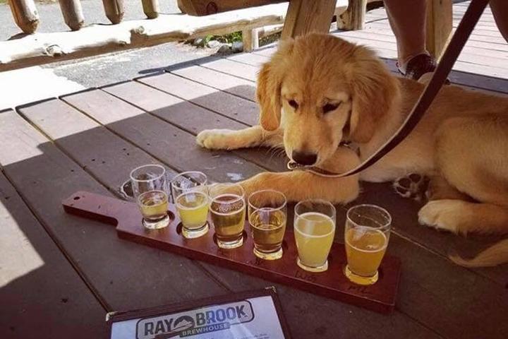 Pet Friendly Ray Brook Brewhouse