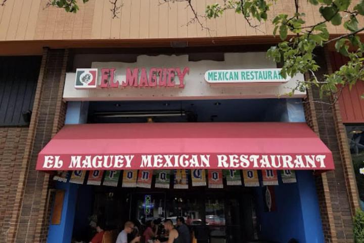 Pet Friendly El Maguey