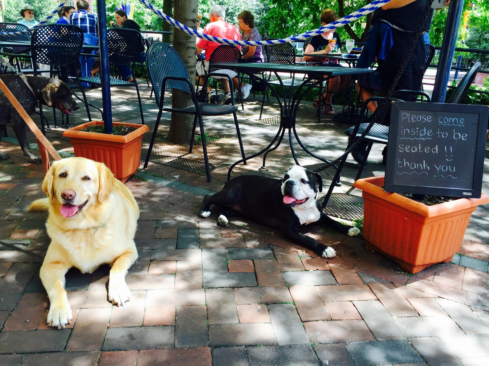 Dog Friendly Greek Restaurants in Frederick, MD BringFido