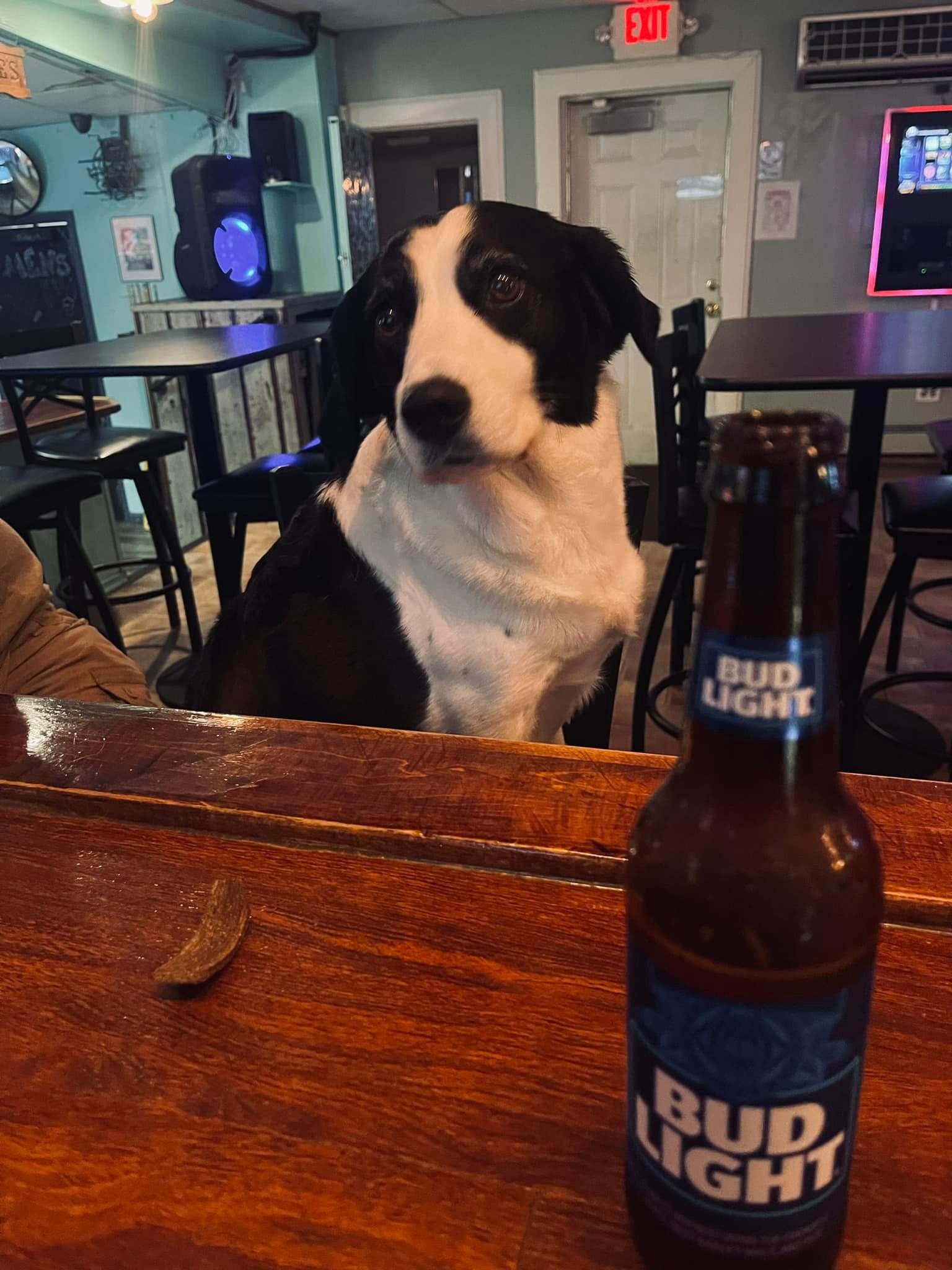 Pet Friendly Robbie's Bar & Grill