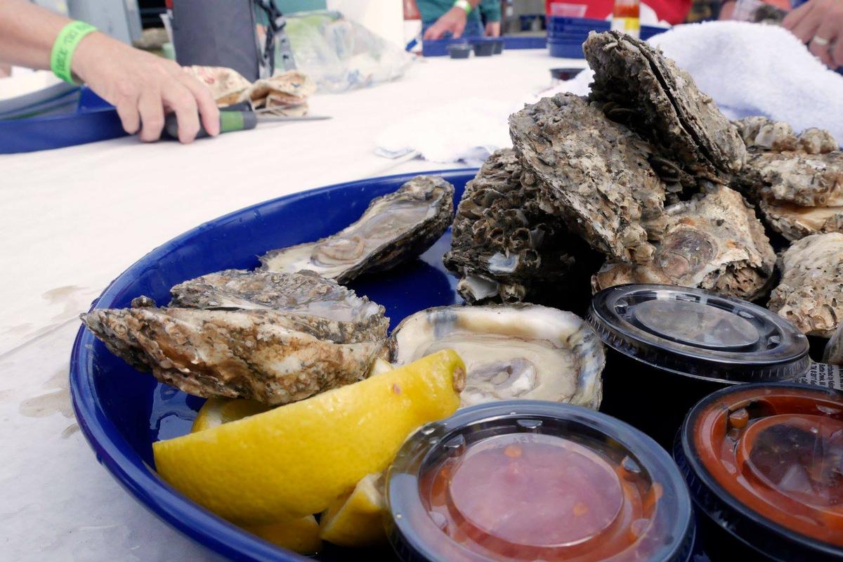 Decoys Is Pet Friendly