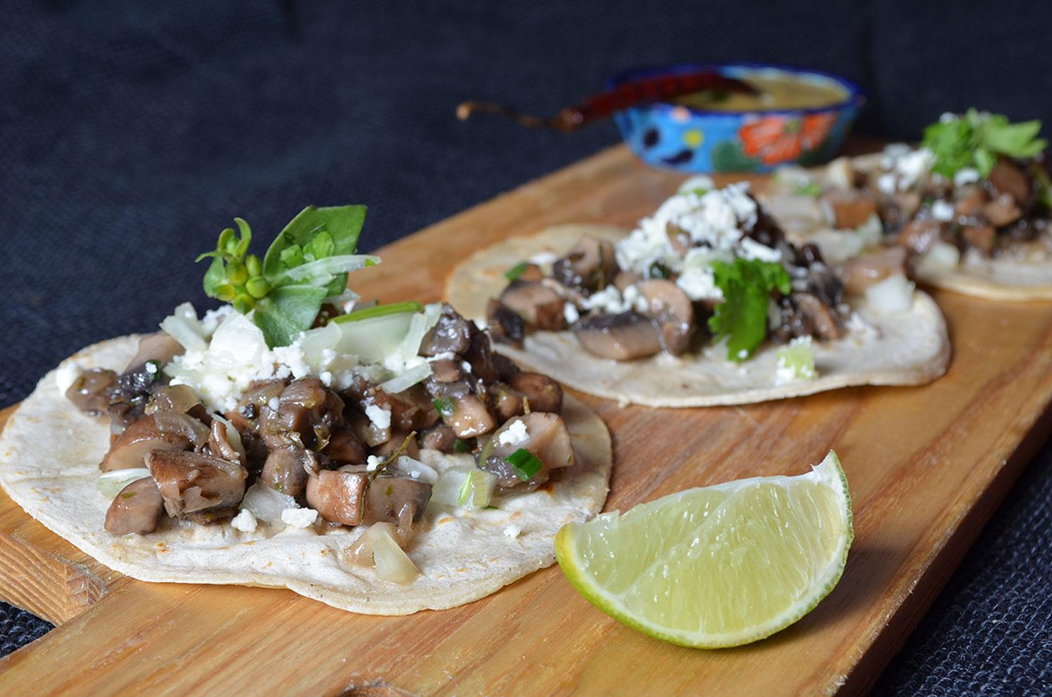 Los Tacos Is Pet Friendly