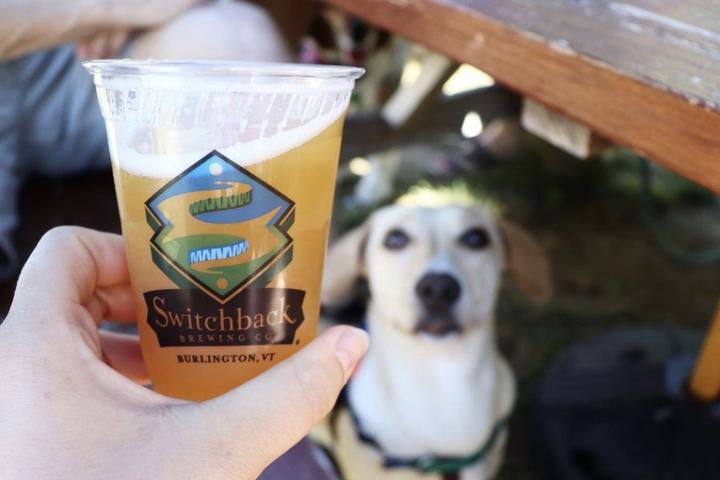 Pet Friendly Switchback Brewing Company