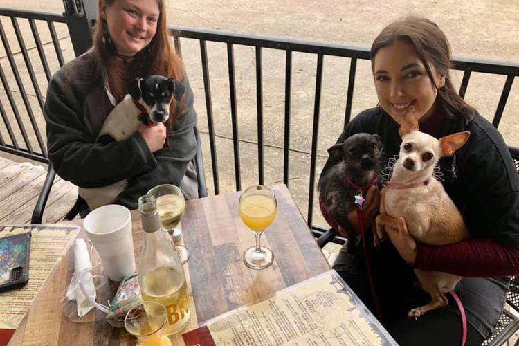 Dog Friendly Restaurants In Baton Rouge LA BringFido dog-friendly-restaurants-in-baton-rouge-la-bringfido