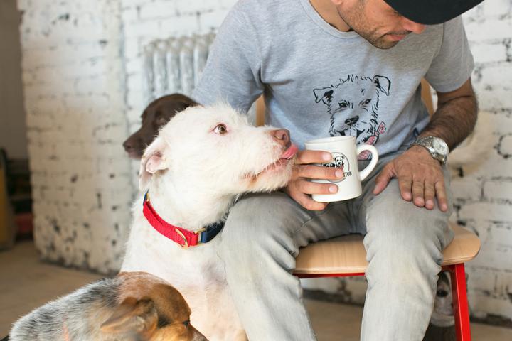 Dog Friendly Coffee Shops in Jersey City, NJ - BringFido