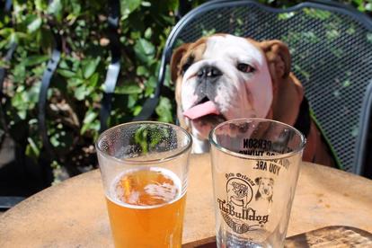 Dog Friendly Restaurants In Baton Rouge LA BringFido Dog Friendly Restaurants In Baton Rouge LA BringFido