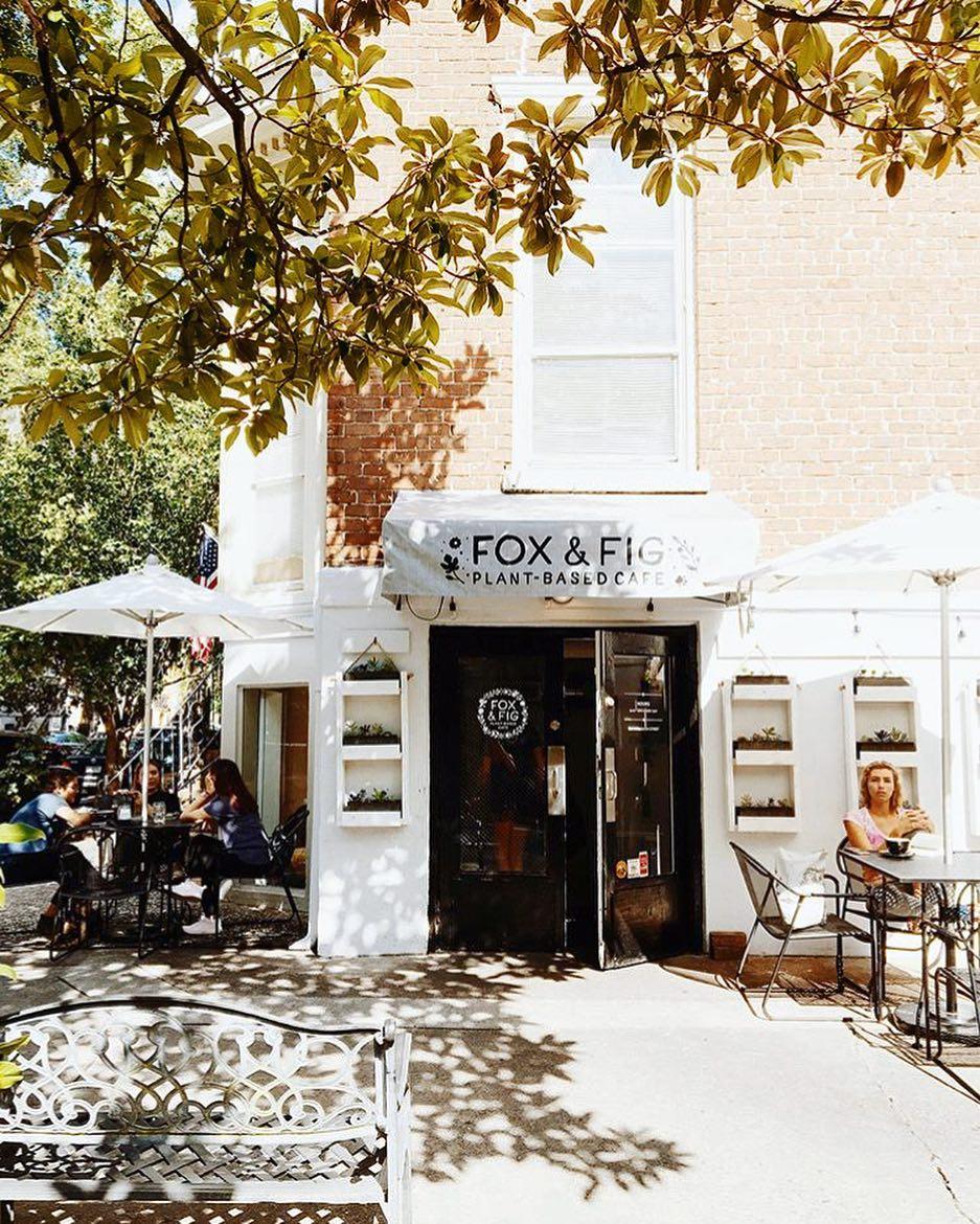 Pet Friendly Fox and Fig Cafe