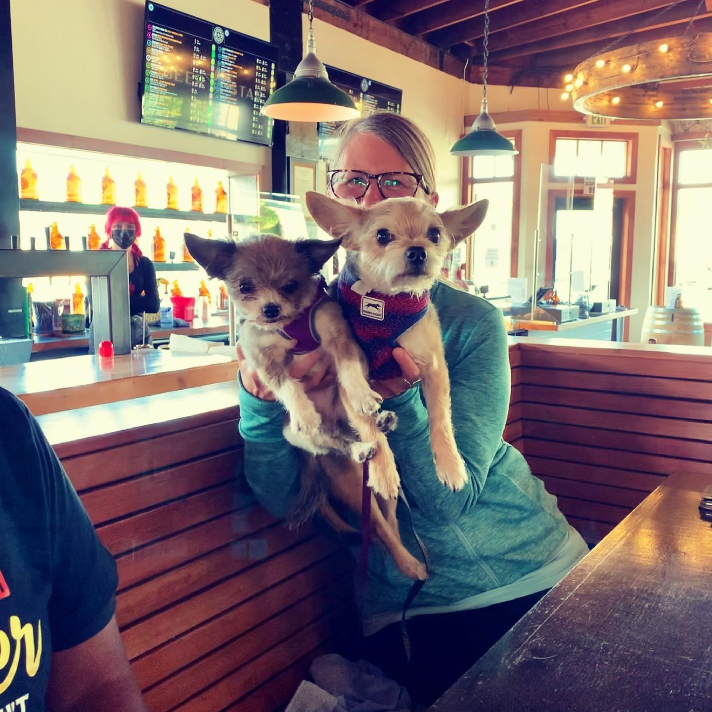 Dog Friendly Bars & Pubs in Port Orchard, WA - BringFido