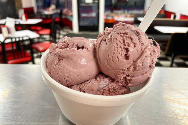 Pet Friendly The Daily Scoop Ice Cream Shoppe