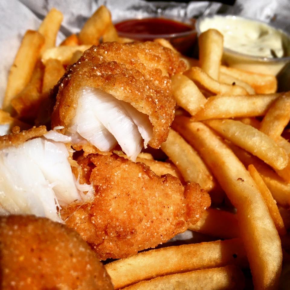 The Ugly Grouper Is Pet Friendly