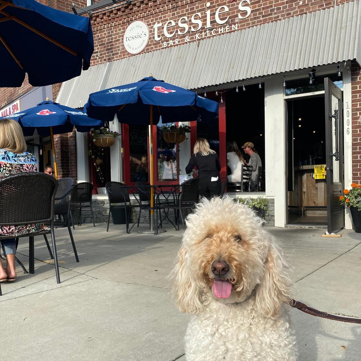 restaurants with dog patios near me