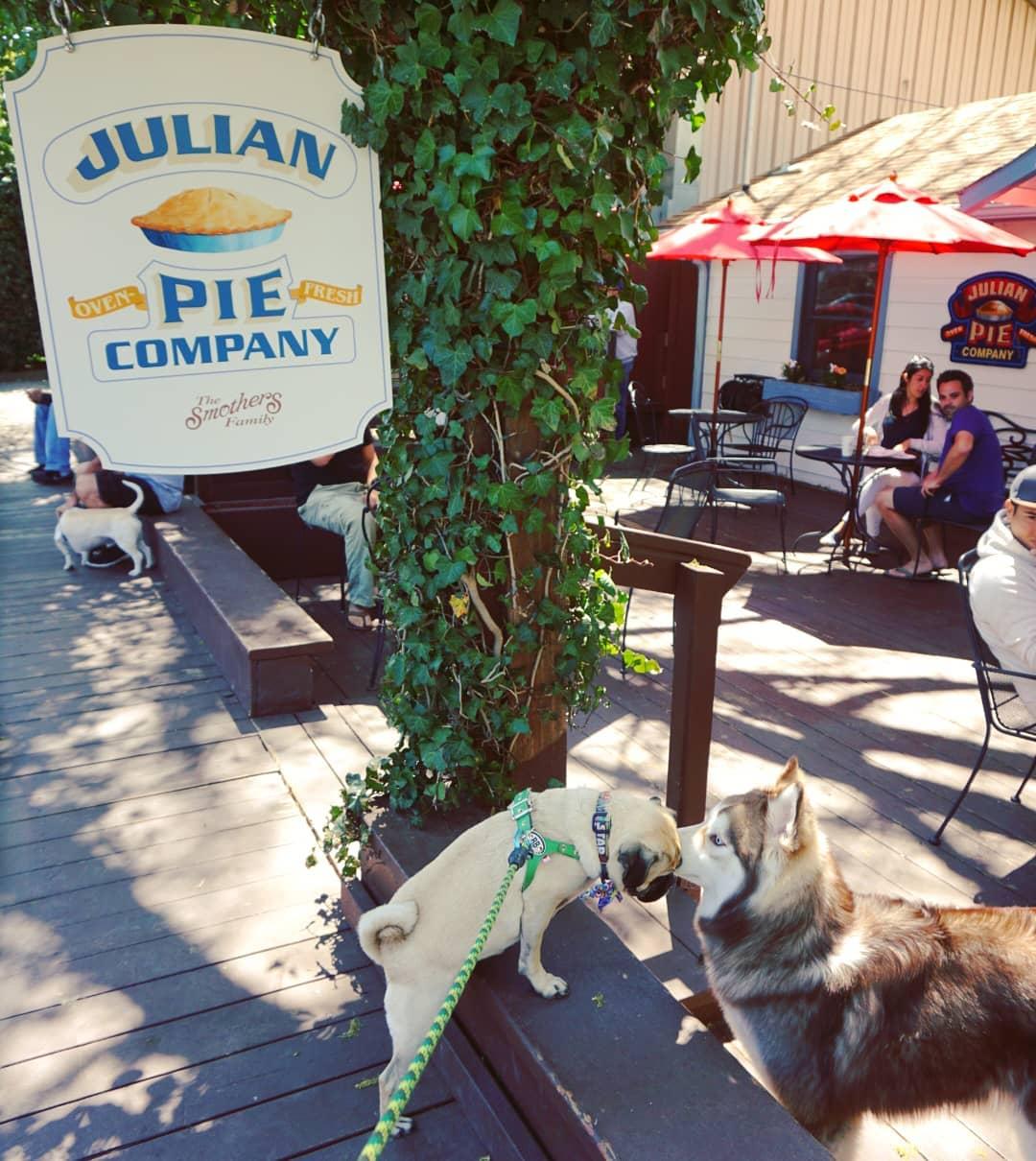 Pet Friendly Julian Pie Company