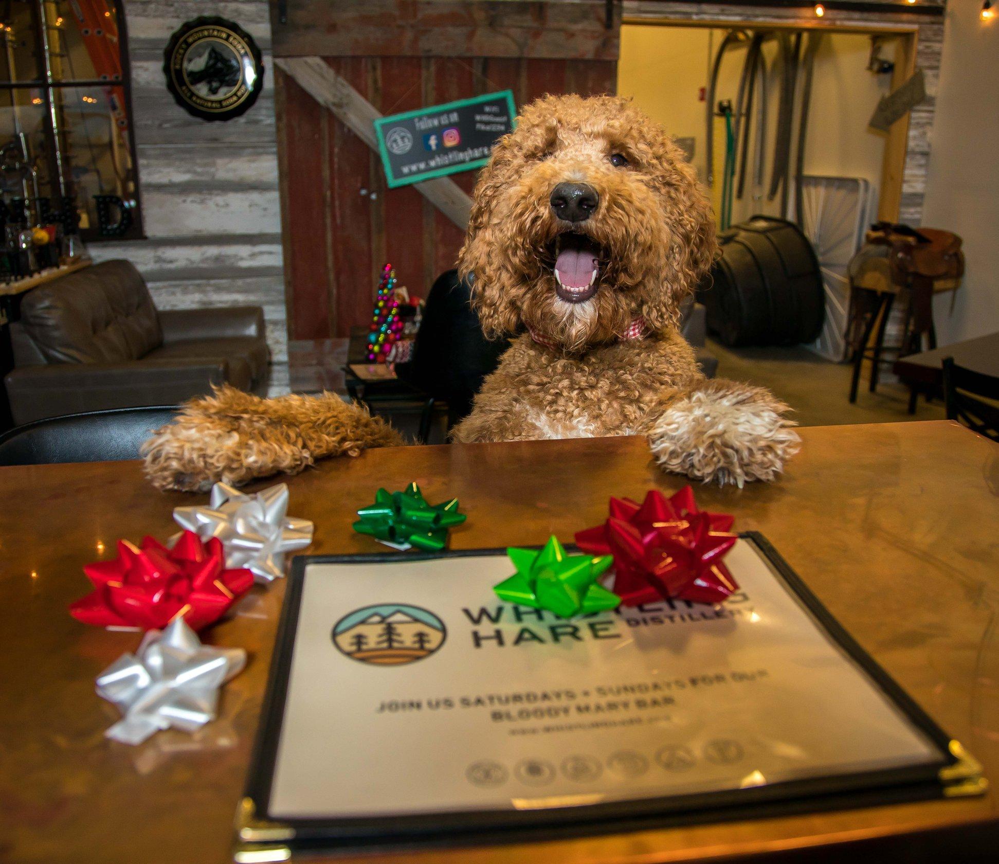 Pet Friendly Whistling Hare Distillery