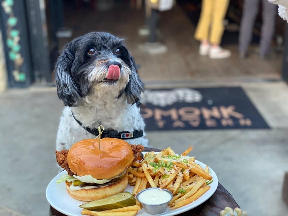 Dog friendly pubs deals that serve food