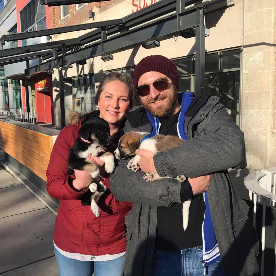 O Hanlon S Irish Pub Is Pet Friendly