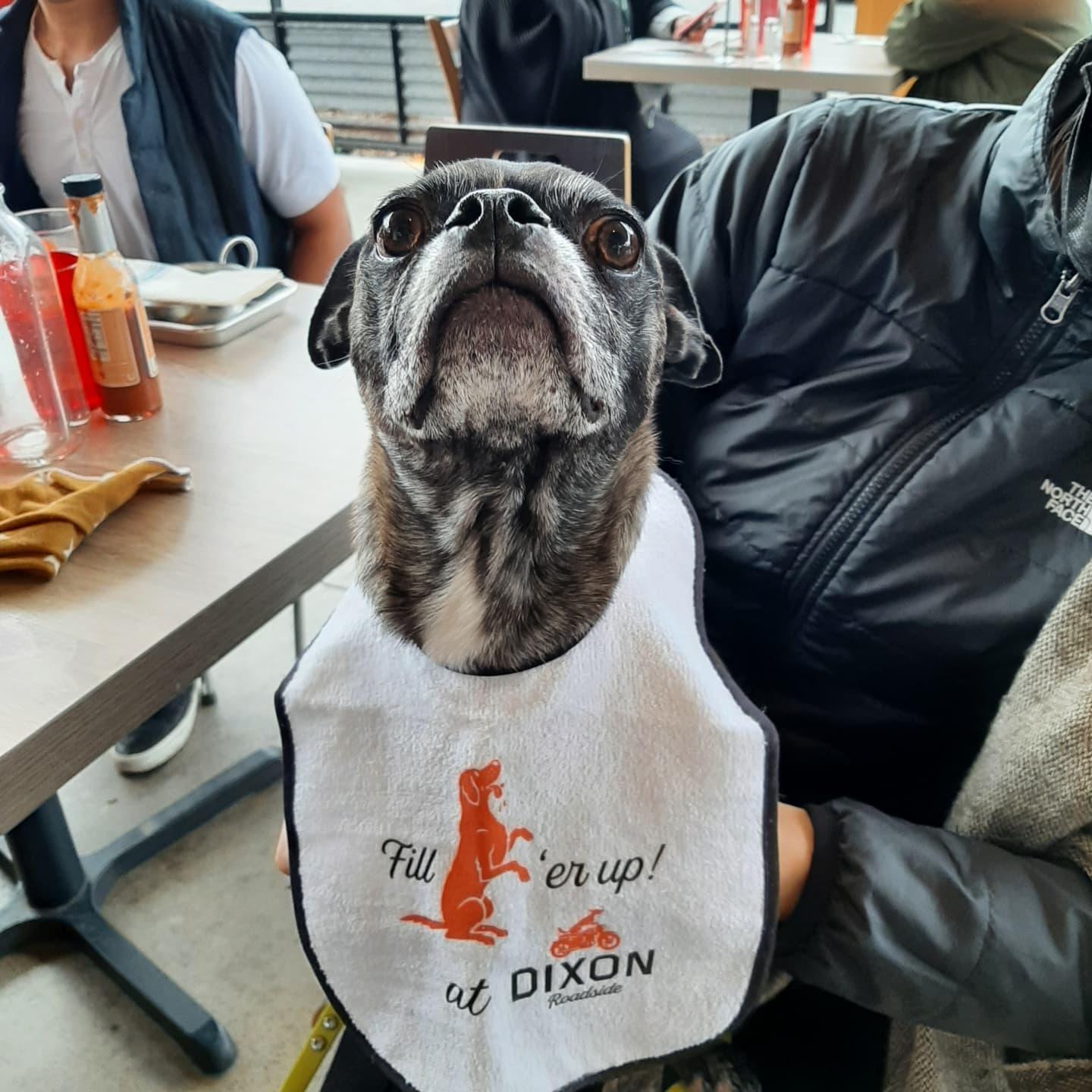 (Closed) Dixon Roadside Pet Policy