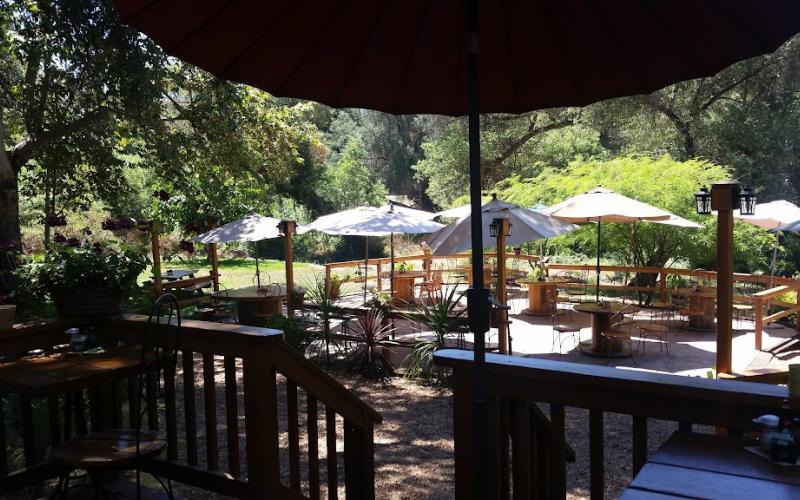 Pet Friendly The Yellow Deli Valley Center