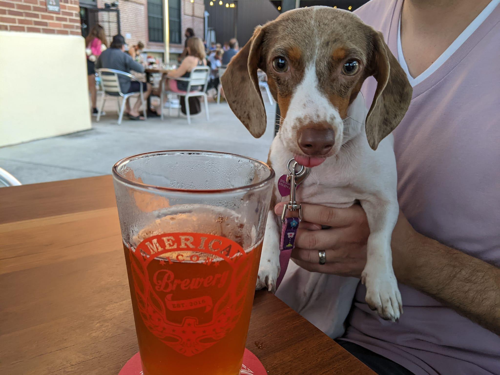 Pet Friendly American Icon Brewery