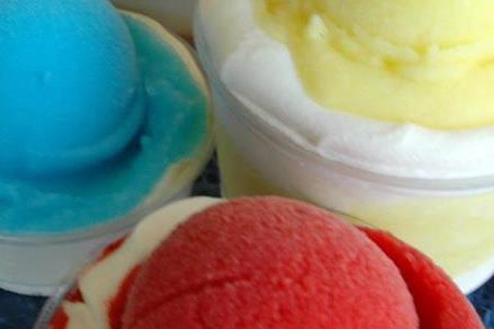 Pet Friendly Frostbites Crepes and Frozen Delights