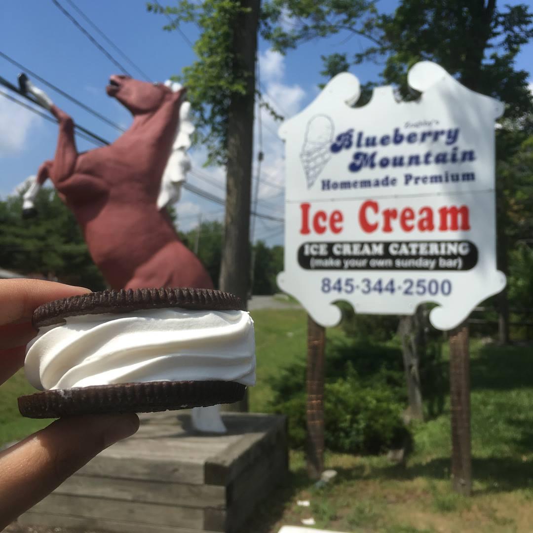Pet Friendly Zoghby's Blueberry Mountain Ice Cream