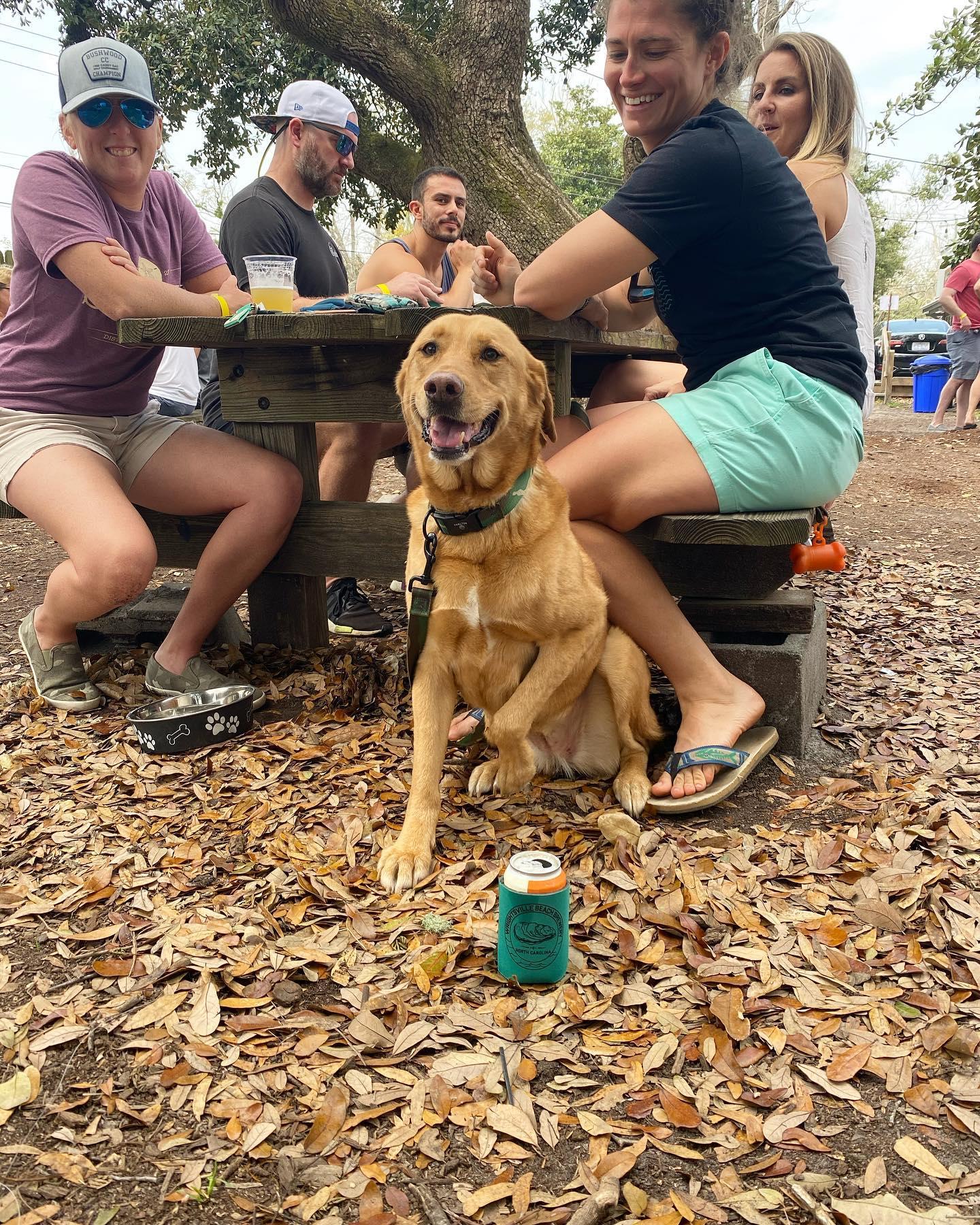 Wrightsville Beach Brewery Pet Policy
