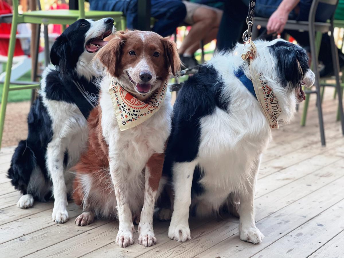 84084_312509.jpg?size=full&