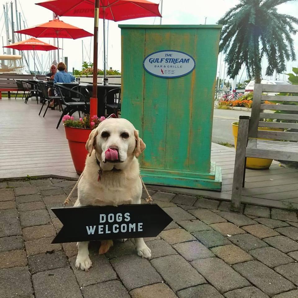 Pet Friendly The Gulf Stream Bar and Grille