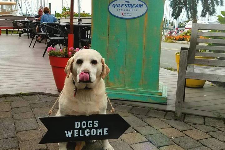 Pet Friendly The Gulf Stream Bar and Grille