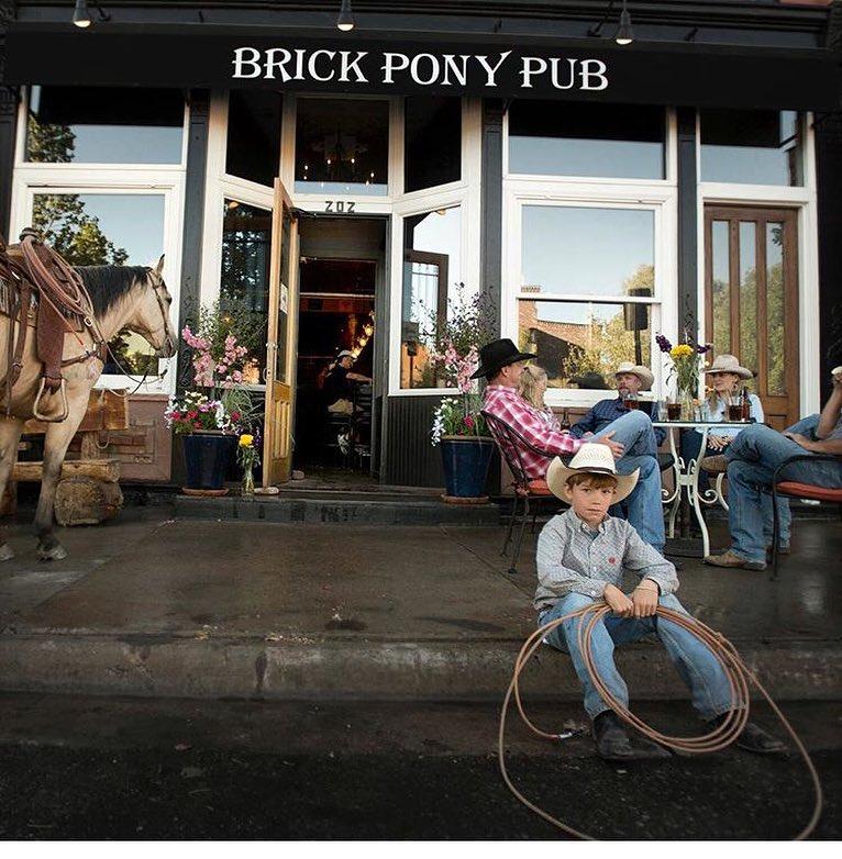 Pet Friendly Brick Pony Pub