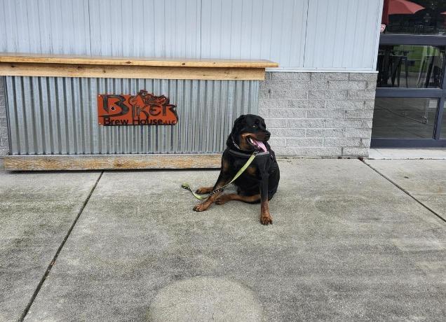 Pet Friendly Biker Brewhouse