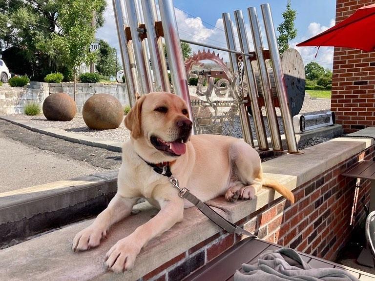 Fuel Coffee Works Is Pet Friendly