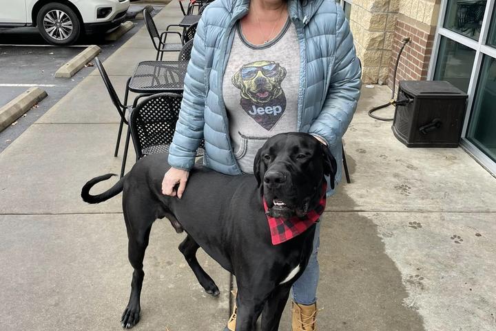 Pet Friendly Wingin' It Taphouse and Grille
