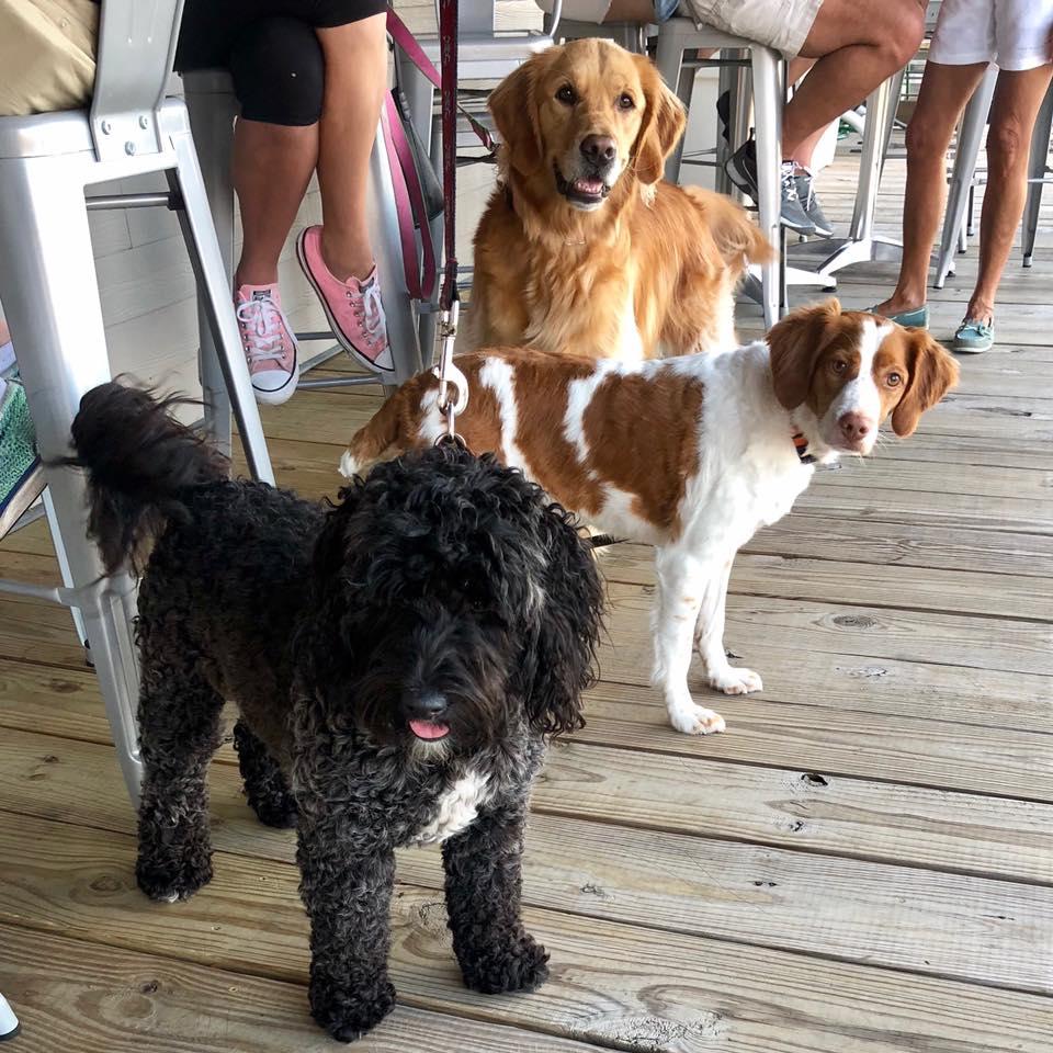 JB's Fuel Dock Pet Policy