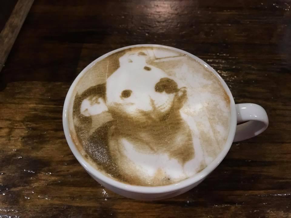 Pet Friendly Ama Coffee