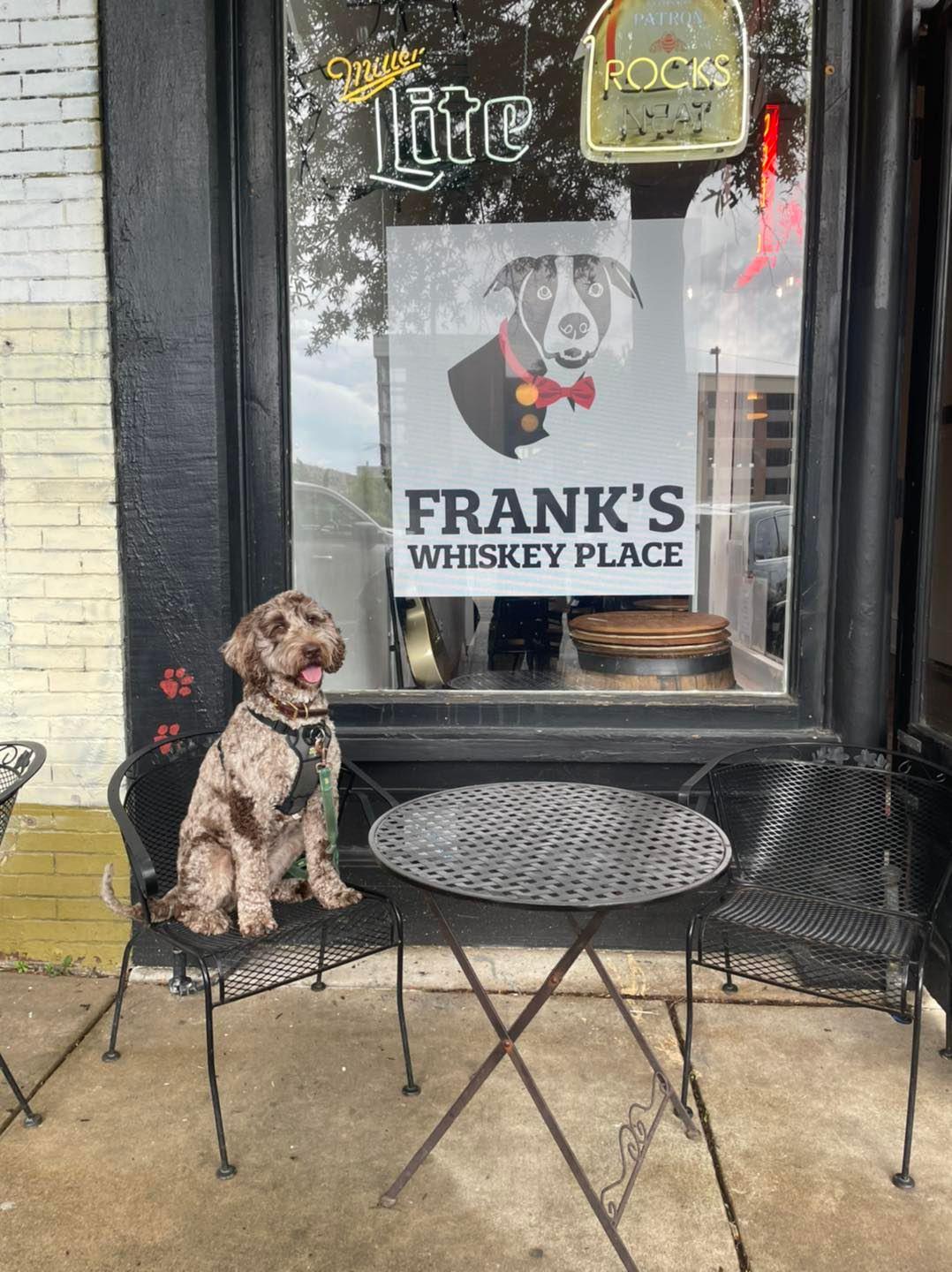 Dog Friendly Louisville: Indoor — Our Life is Ruff