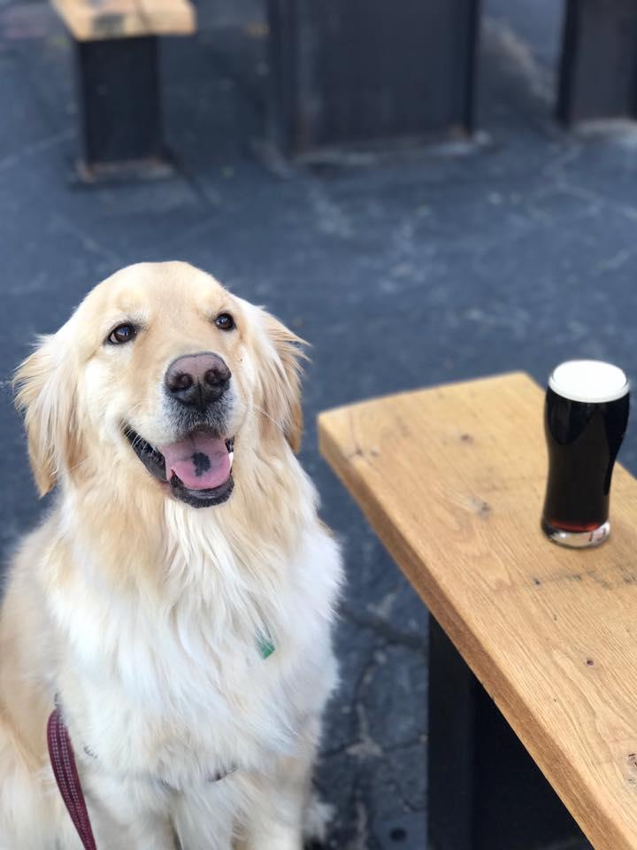 Pet Friendly Copper State Brewing Company