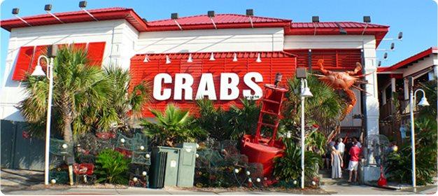 Pet Friendly Crabs - We Got 'Em