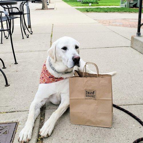 Dog Friendly Coffee Shops in Cedarburg WI BringFido