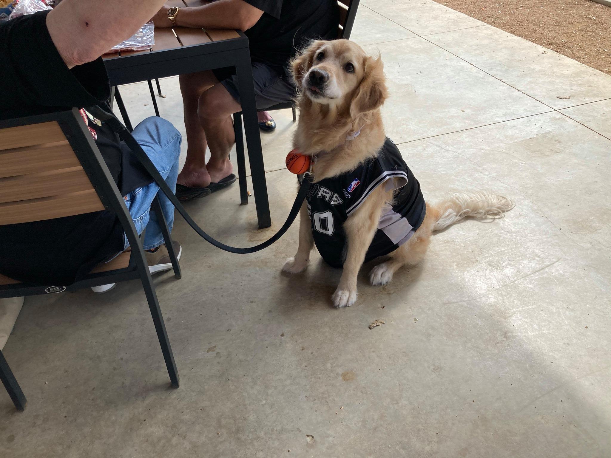 Pet Friendly Texas Wine Collective