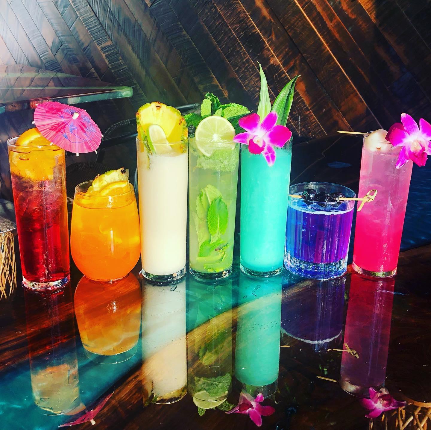 Pet Friendly Tropics Cocktail Bar