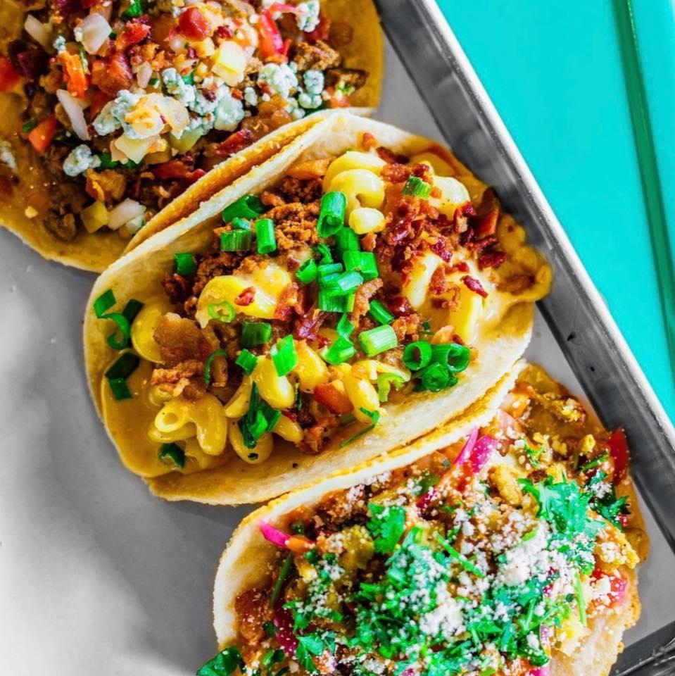 Tin & Taco New Smyrna Beach Pet Policy