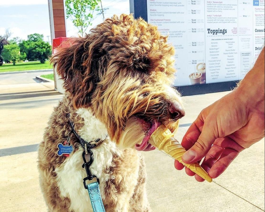 118925_32535445.jpg?size=full&