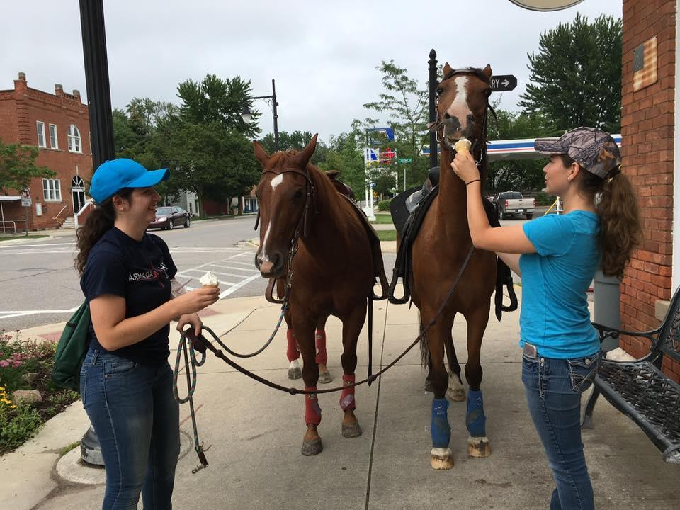 Dog Friendly Restaurants in Armada MI BringFido