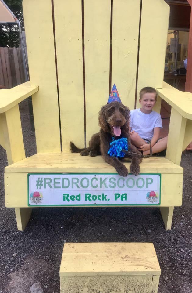 Pet Friendly The Red Rock Scoop