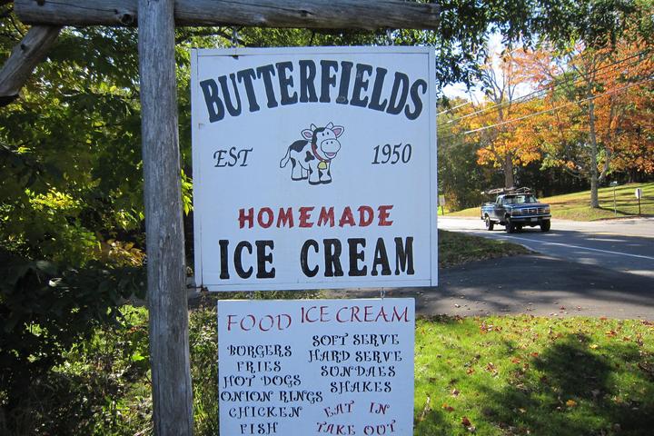 Pet Friendly Butterfield's Ice Cream