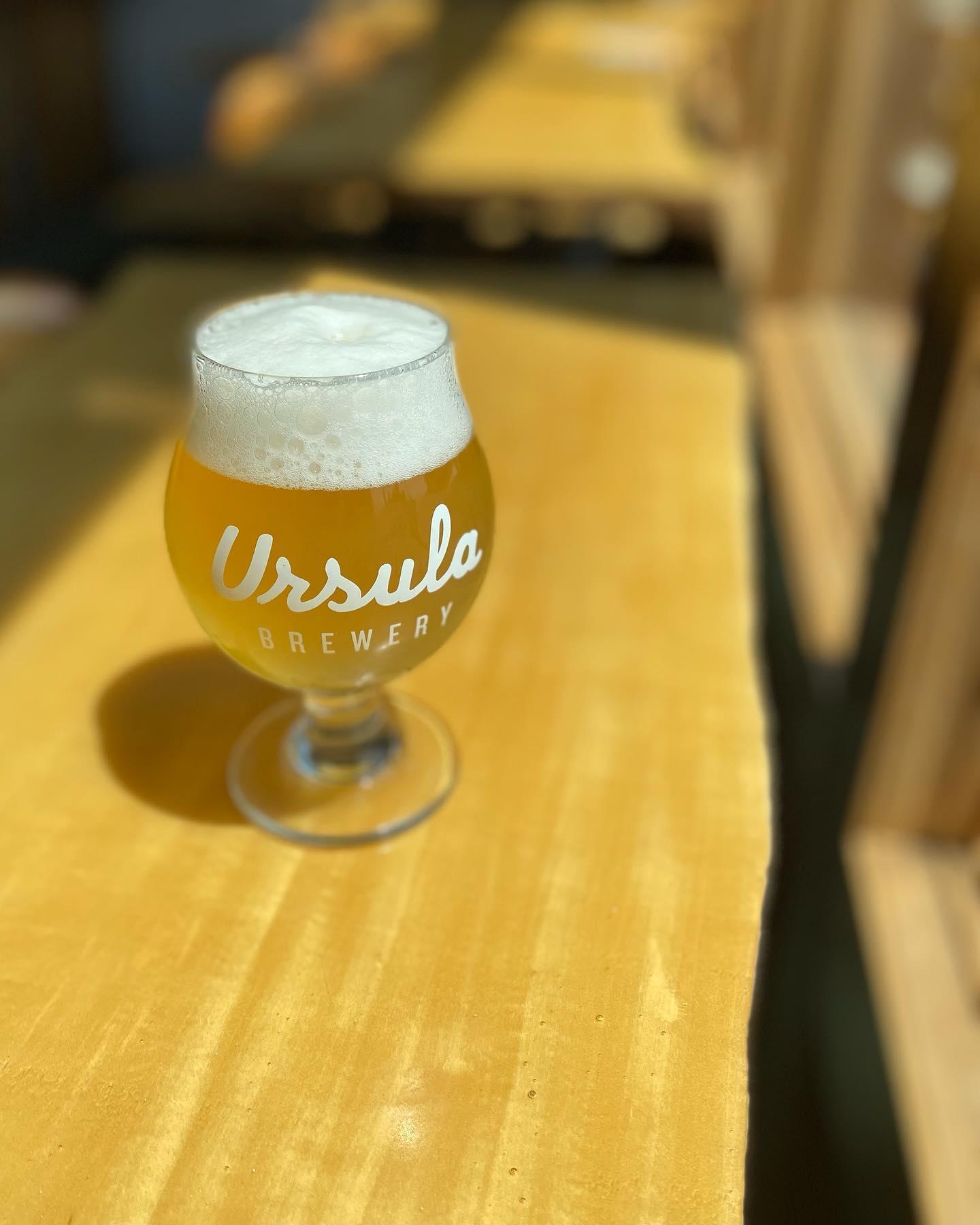 Pet Friendly Ursula Brewery