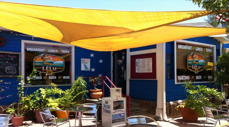 Dog Friendly Coffee Shops in Siesta Key, FL - BringFido