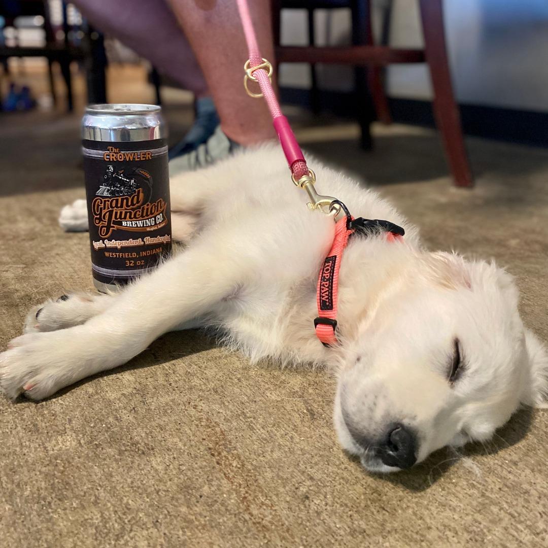 Pet Friendly Grand Junction Brewing Co.