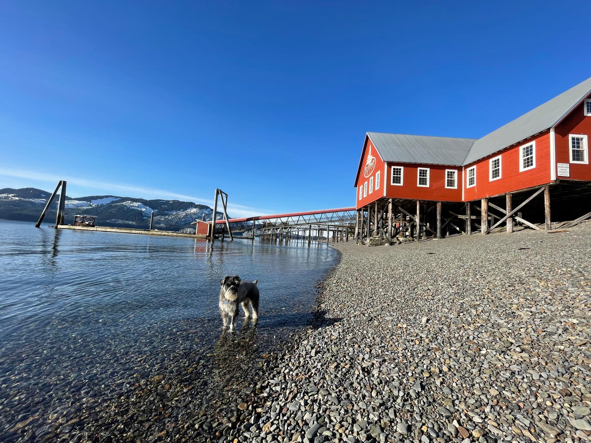 Pet Friendly The Crab Station at Icy Strait Point