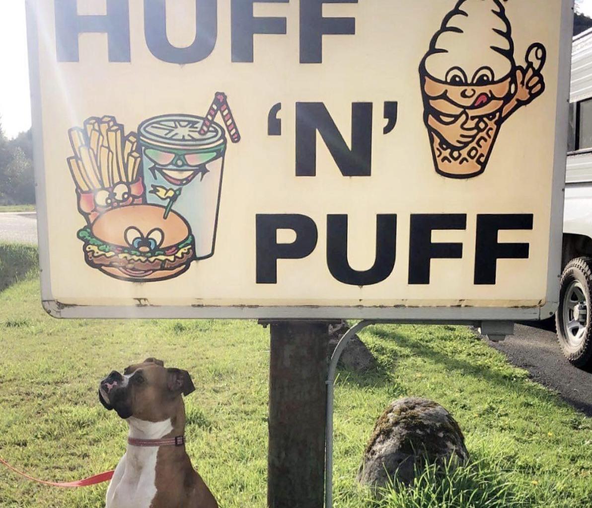 Pet Friendly Huff N' Puff Drive In